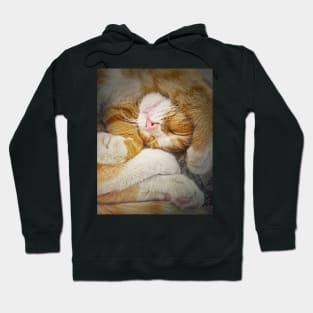 sleepy ginger Hoodie